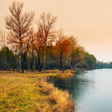 Sonbahar manzara, nehir ve orman kırsal kesimde