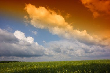 tecavüz tarım alanlarının görünümü bir gökyüzü arka plan bahar mevsimi '