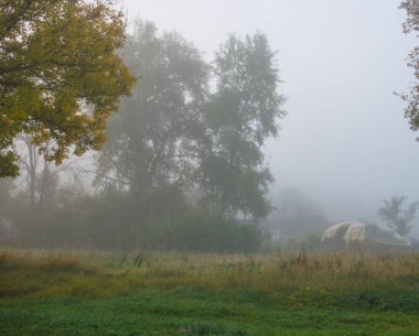 ağaçlar, sonbahar sezonu ile kırsal manzara görünümünü
