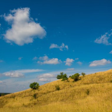 Krummenacher çimen çöl ve gökyüzü bulutlu