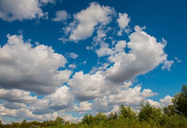 beyaz bulutlar mavi gökyüzü güneşli bir gün ve ağaçlar üst kısımları
