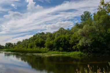 kırsal manzara, nehir orman ve mavi gökyüzü bulutlu