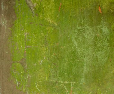 eski sıva duvar closeup yeşil, boyalı yüzey