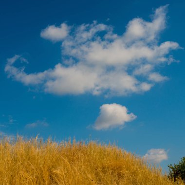 Krummenacher çimen çöl ve gökyüzü bulutlu
