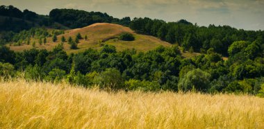 Orman ve bozkır bulutlu, mavi gökyüzü manzara panorama