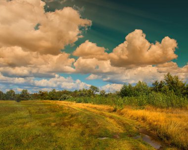 beyaz bulutlar mavi gökyüzü güneşli bir gün ve ağaçlar üst kısımları