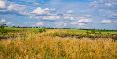 kayalar ve gökyüzü ve bulutlar, kırsal manzara bir arka plan üzerinde bitkiler
