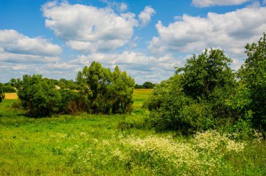 çayırlar ve Ukrayna'nın yaz kırsal tepelik alanda alanları