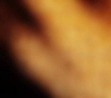 kahverengi ve sarı renk bulanık arka plan