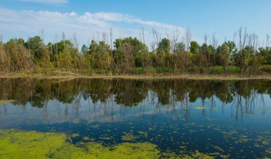 kırsal manzara, nehir orman ve mavi gökyüzü bulutlu