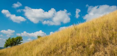 Krummenacher çimen çöl ve gökyüzü bulutlu