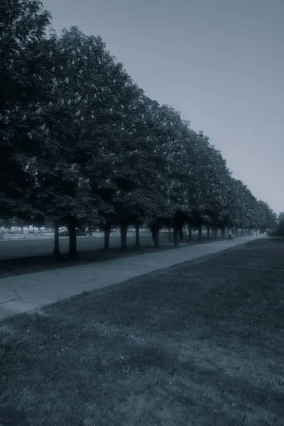 Verschwommener Hintergrund Menschen Die Einem Frühlingstag Die Allee Entlang Laufen — Stockfoto