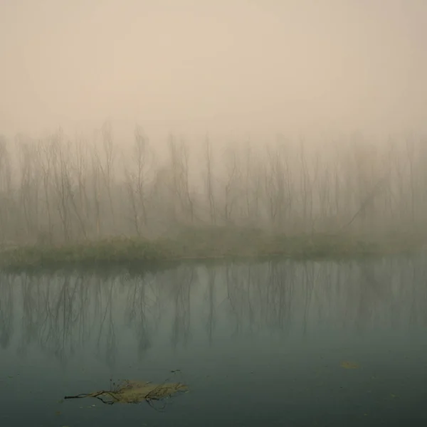 Verschwommener Hintergrund Landschaftspflanzen Fluss Und Landschaft Nebel — Stockfoto