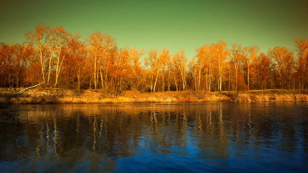 Herbstlandschaft Fluss Und Wald Sonniger Tag — Stockfoto