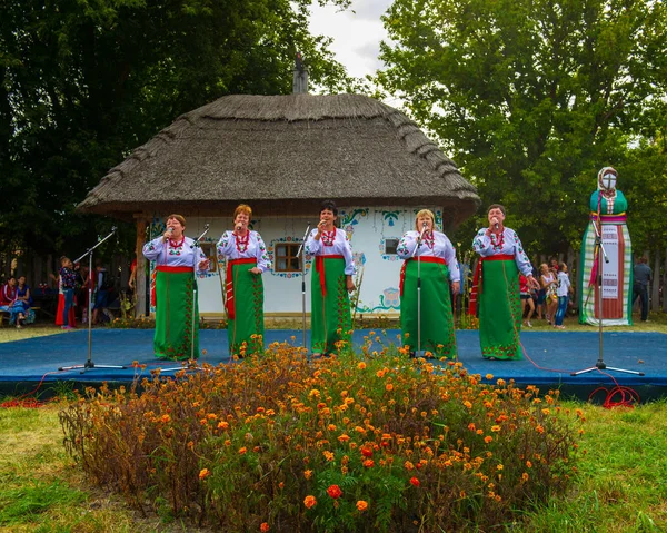 Veliki Sorochintsi Ucrânia Agosto 2015 Exposição Nacional Sorochintsy Fair National — Fotografia de Stock
