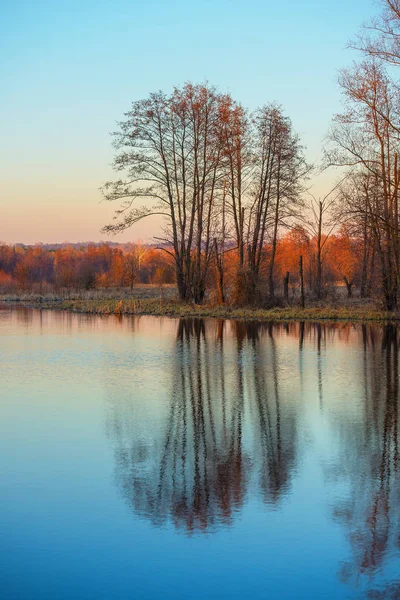 森の中の湖の秋の夕暮れ — ストック写真