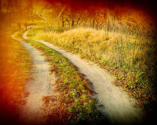 Campers Walking Road Forest Autumn Season — Stock Photo, Image