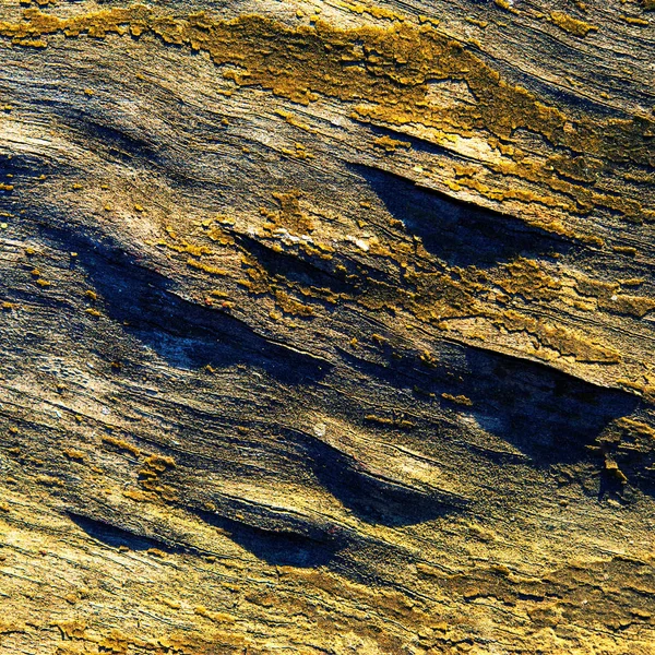 Alte Holzoberfläche Mit Bröckelnder Farbe Überzogen — Stockfoto