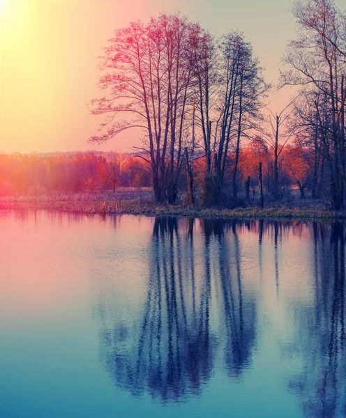 Kväll Vid Sjön Skogen Tidigt Våren — Stockfoto