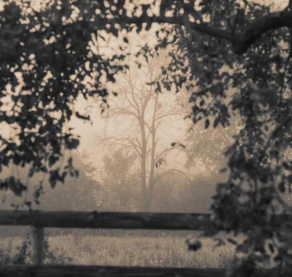 Vue Sur Paysage Rural Arboré Saison Automne — Photo