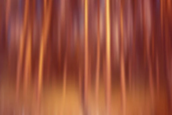Bulanık Görüntü Bir Çam Ağacı Arka Planını Yaz — Stok fotoğraf