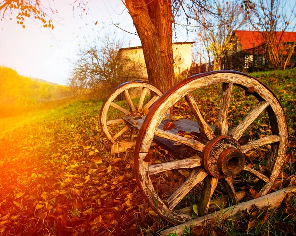 Roda Vagão Campo — Fotografia de Stock