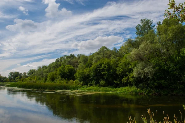 kırsal manzara, nehir orman ve mavi gökyüzü bulutlu