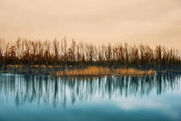 Herbstlandschaft Fluss Und Wald Auf Dem Land — Stockfoto