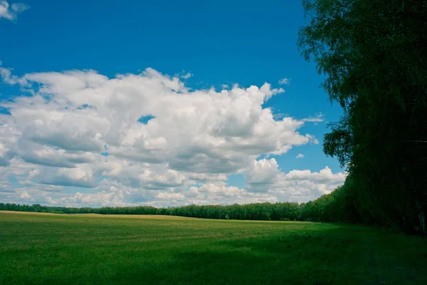 rural landscape with clouds green field, spring season