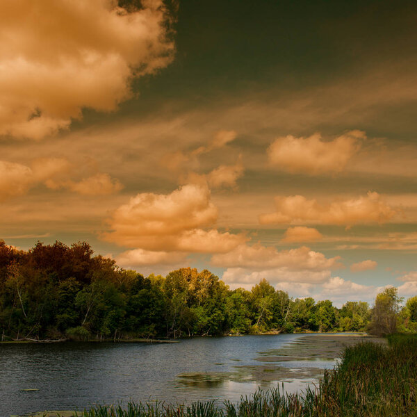 rural landscape, river forest and blue sky with clouds