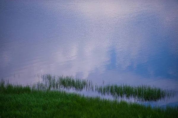 Onde Sulla Superficie Del Fiume Erba Verde — Foto Stock