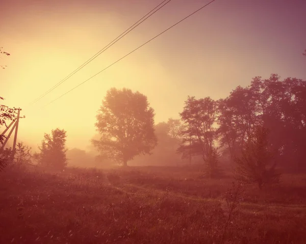 Morgendämmerung Neblig Morgen Wald Hintergrund Dorf — Stockfoto