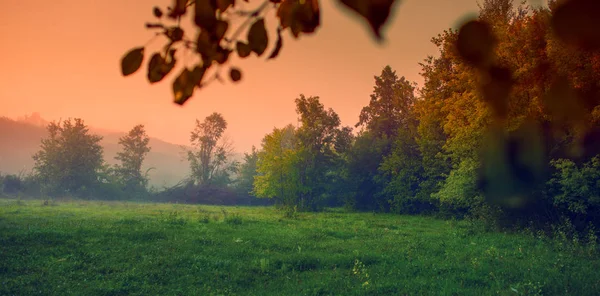 Paesaggio Con Alberi Mattina Nebbiosa Campagna — Foto Stock