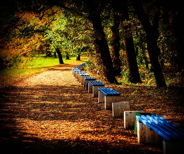 Passerella Panchine Nel Vecchio Parco Autunnale — Foto Stock