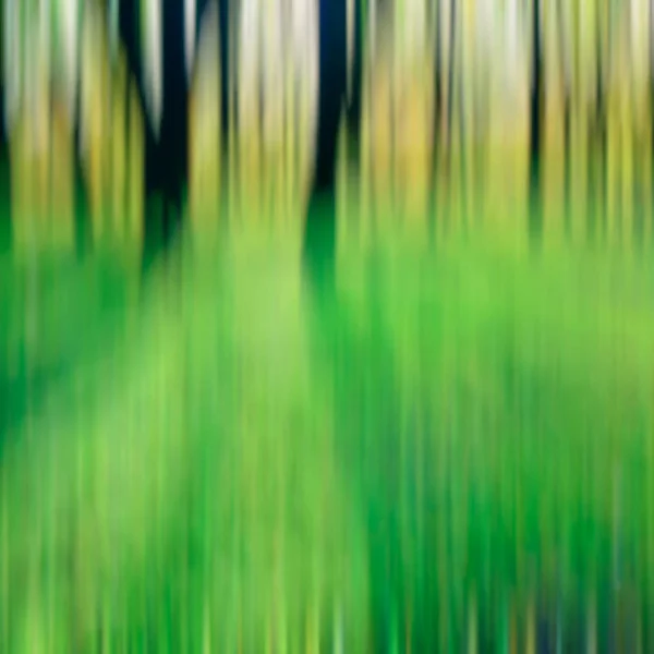 森の背景写真素材 ロイヤリティフリー森の背景画像 Depositphotos 森の背景写真素材 ロイヤリティフリー森の背景画像 Depositphotos