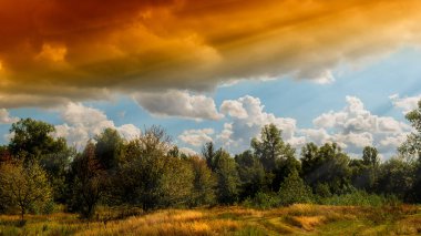 beyaz bulutlar mavi gökyüzü güneşli bir gün ve ağaçlar üst kısımları