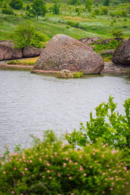 çiçekli bitkiler Nehri üzerinde Granit taş