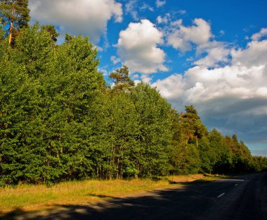 ormanda, kırsal manzara eski yol