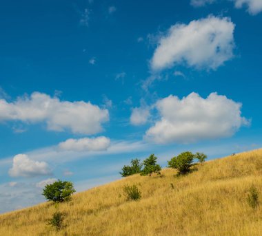 Krummenacher çimen çöl ve gökyüzü bulutlu