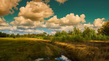 beyaz bulutlar mavi gökyüzü güneşli bir gün ve ağaçlar üst kısımları