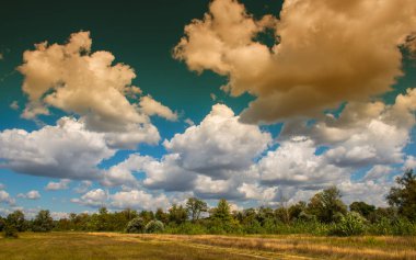beyaz bulutlar mavi gökyüzü güneşli bir gün ve ağaçlar üst kısımları