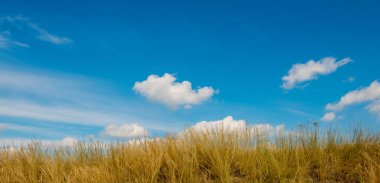 Krummenacher çimen çöl ve gökyüzü bulutlu