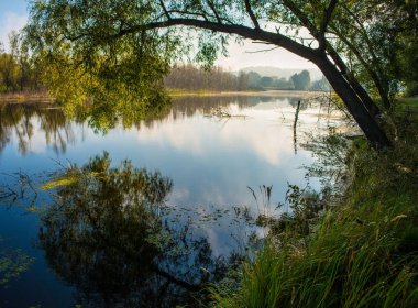 Nehir orman kıyısında kırsal manzara