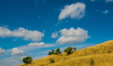 Krummenacher çimen çöl ve gökyüzü bulutlu