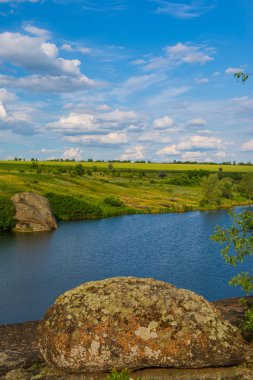 kayalar ve bitkiler nehirde, kırsal manzara