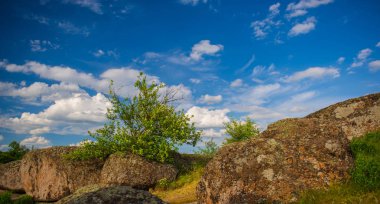 kayalar ve gökyüzü ve bulutlar, kırsal manzara bir arka plan üzerinde bitkiler