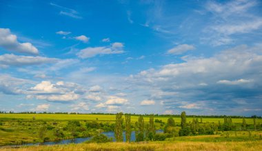 kayalar ve bitkiler nehirde, kırsal manzara