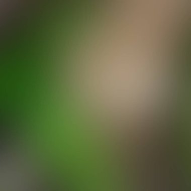 Soyut Kompozisyon renkli arka plan bulanık