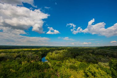 Yaz aylarında Ukrayna kırsal ve orman nehir manzara