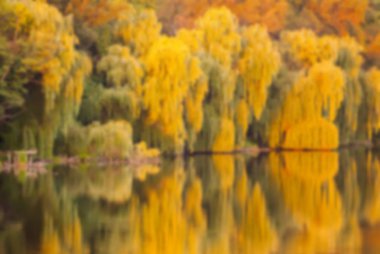 ağaçlar bulanık görünüm Nehri'nin, bahar akşam üzerinde